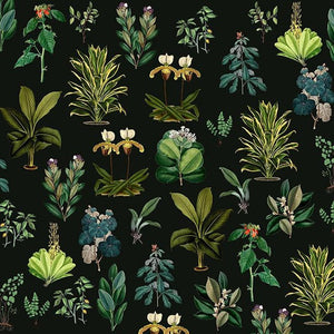 The Artists Label 'Ancient Botany' Silk Pillow Case
